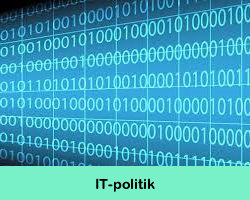 IT-politik